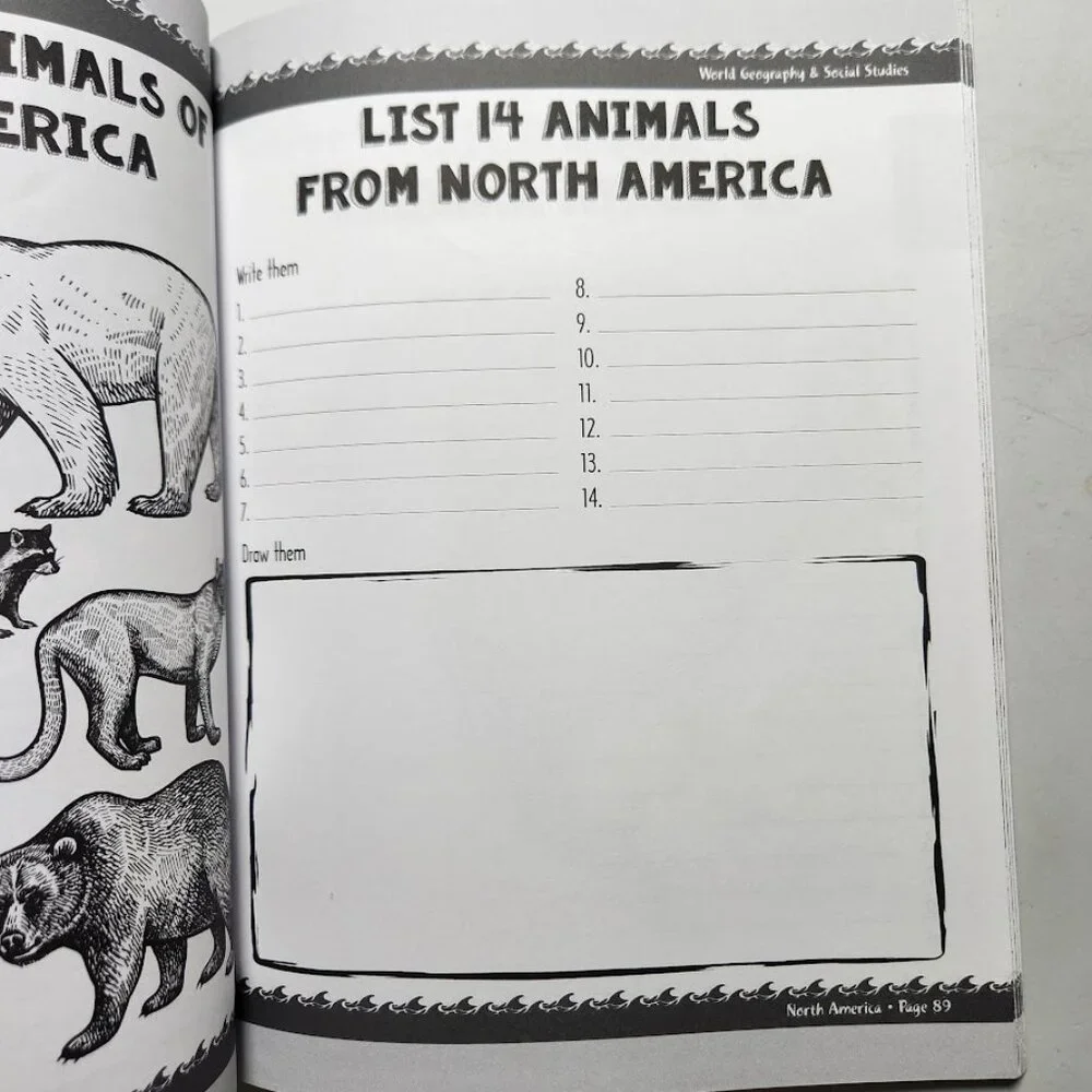 Book Seven Amazing Continents Travel Dreams Geography & Social Studies Workbook